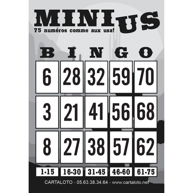 60 pcs cartes de bingo enfants jeu de amusant carte LOTO - BINGO