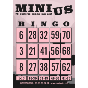 mini bingo us